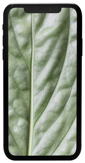 128 GB Smartphone 15,5 cm (6.1 Zoll) IOS 12 MP Dual Kamera  Apple iPhone 11 refurbished (Schwarz) 