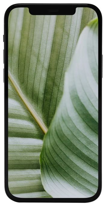 64 GB 5G Smartphone 15,5 cm (6.1 Zoll) IOS 12 MP Dual Kamera Dual Sim  Apple iPhone 12 refurbished (Schwarz) 