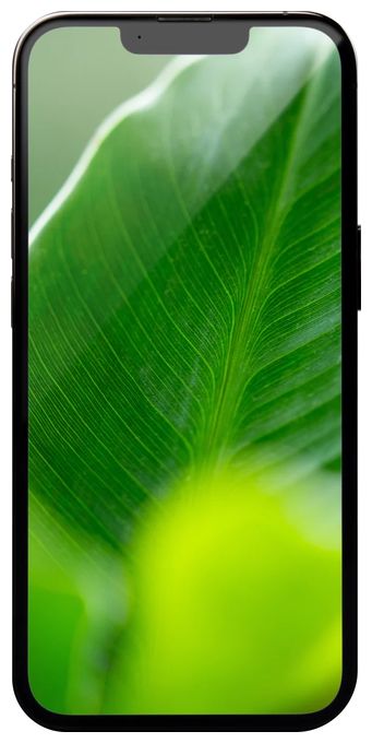 256 GB 5G Smartphone 15,5 cm (6.1 Zoll) IOS 12 MP Dreifach Kamera Dual Sim  Apple iPhone 13 Pro refurbished (Graphit, Grau) 