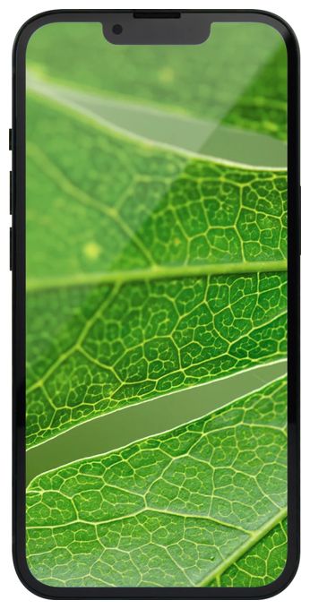 256 GB 5G Smartphone 15,5 cm (6.1 Zoll) IOS 12 MP Dual Kamera Dual Sim  Apple iPhone 13 refurbished (Dunkelblau) 