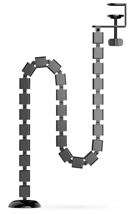 Spine 