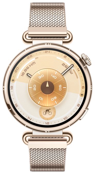 Digital 41 mm Smartwatch Rund IP69 336 h 352 ppi  Watch GT6 (Gold) 