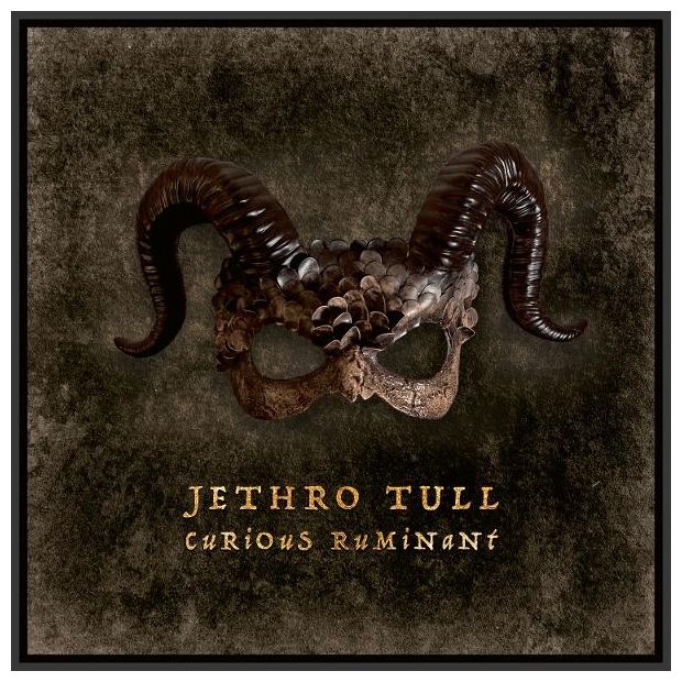 Jethro Tull - Curious Ruminant 