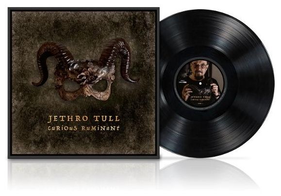 Jethro Tull - Curious Ruminant 