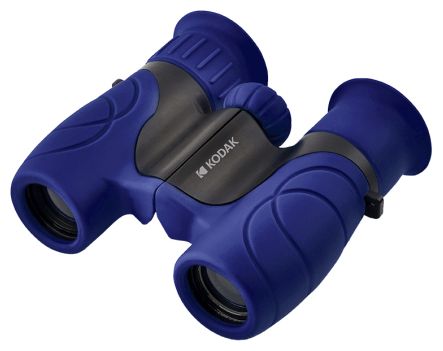 BCS100 