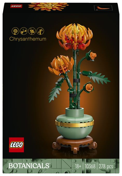 Chrysantheme 