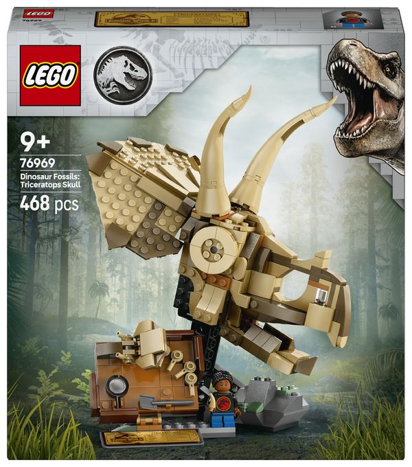 Dinosaurier-Fossilien: Triceratops-Schädel 