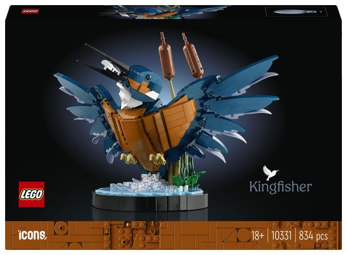 Eisvogel 