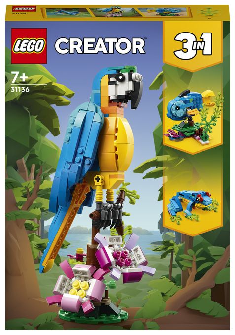 Exotischer Papagei 