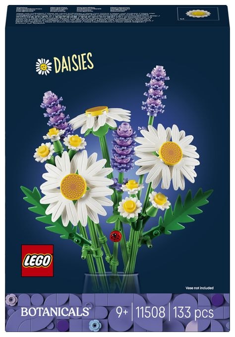 Gänseblümchen 