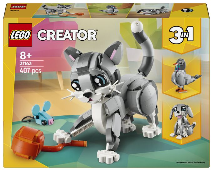 Graue Katze 