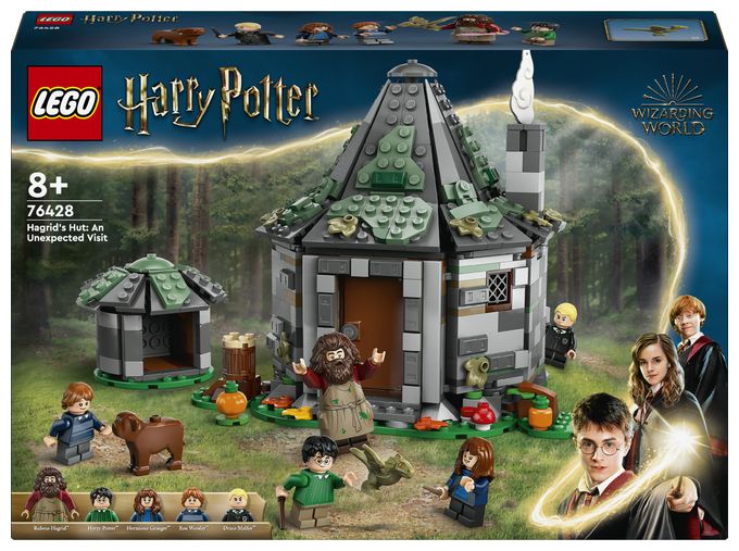 Hagrids Hütte: Ein unerwarteter Besuch 