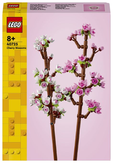 Kirschblüten 