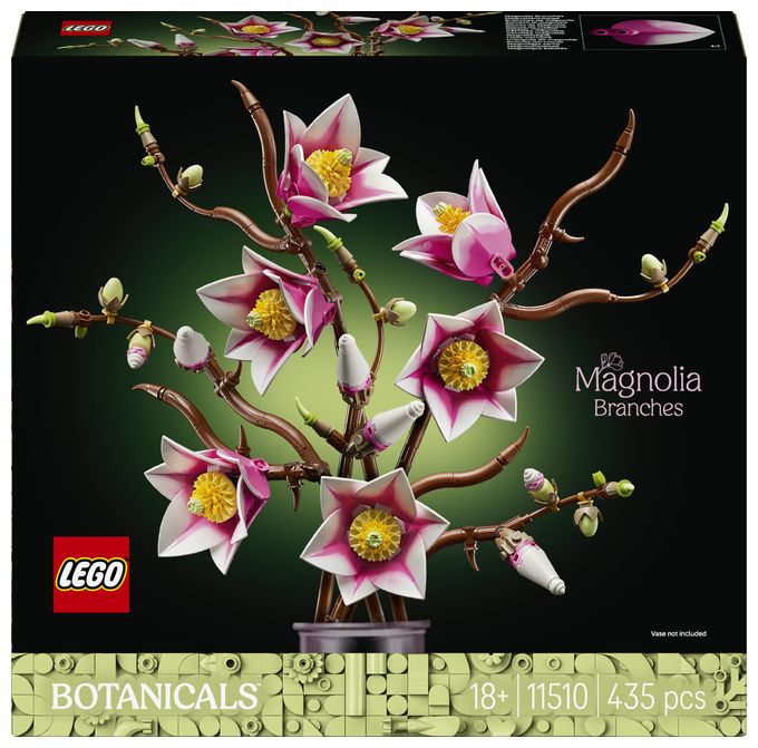Magnolienzweige 