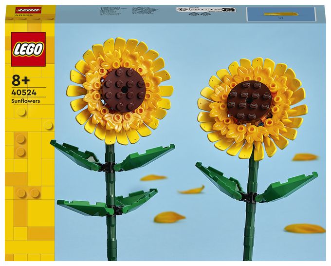 Sonnenblumen 