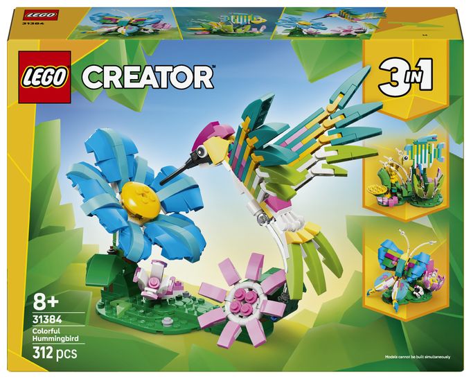Wilde Tiere: Bunter Kolibri 