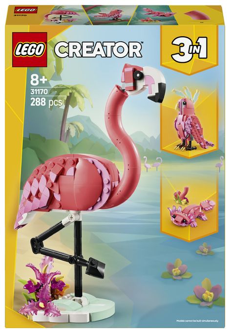 Wilde Tiere: Rosa Flamingo 