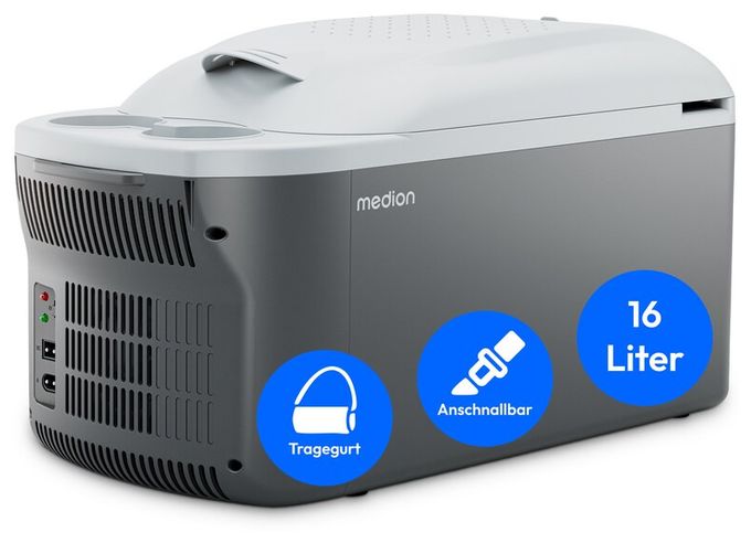 MD13100 
