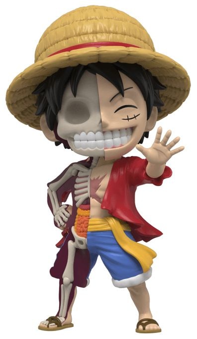 XxRay One Piece: Luffy 