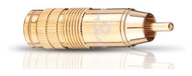 CJG 66 RCA M 