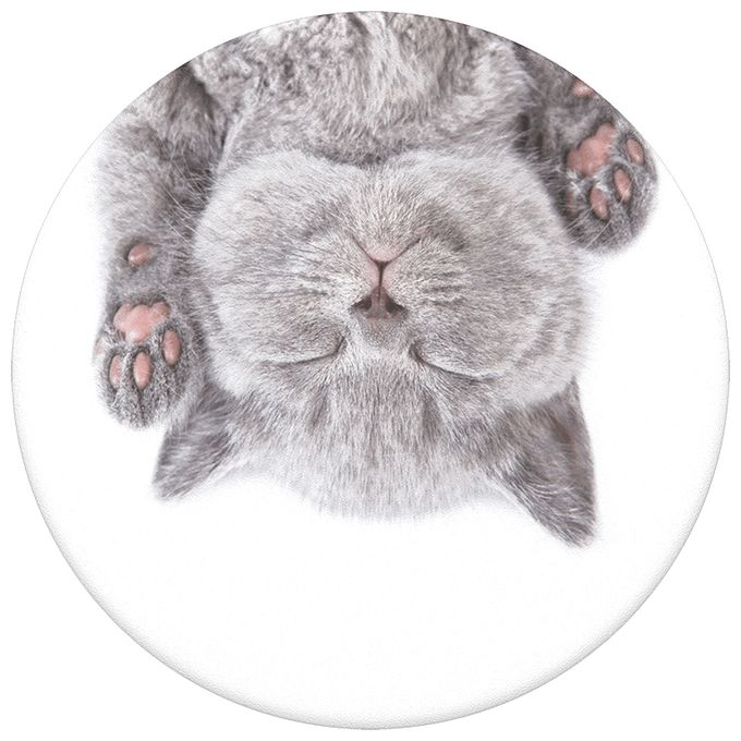 PG Katzenschläfchen 