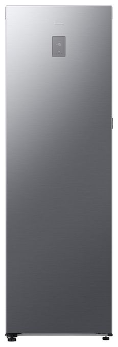 323 l Gefrierschrank 210 kWh Jahr NoFrost  RZ80H32HDTEF (Silber) 