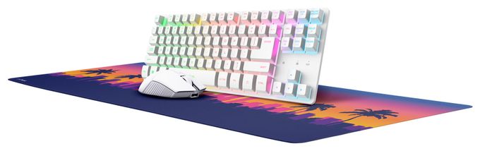 RGB-LED Gaming Tastatur RF Wireless  GXT882 (Weiß) 
