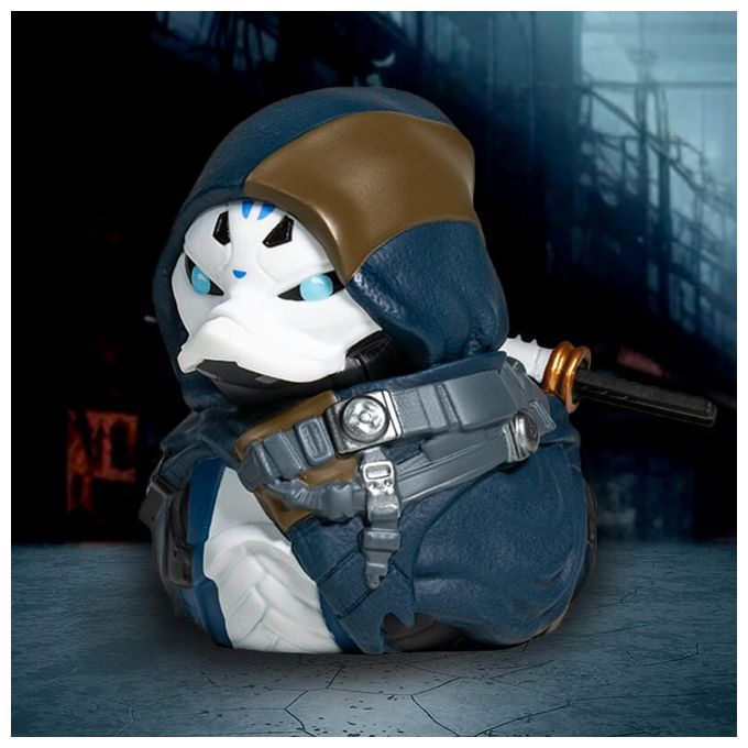 Destiny: The Stranger 