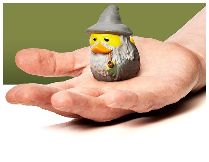 Lord of the Rings: Gandalf the Grey 