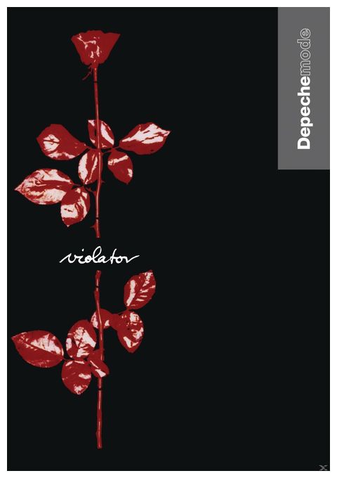 Violator 
