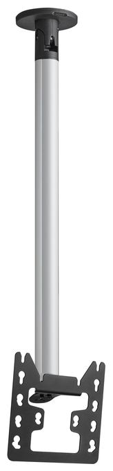 Zimmerdecken Halterung bis 109,2 cm (43") 30 kg neigbar CT242222 