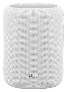 100 W WLAN Lautsprecher mit Bluetooth Amazon Alexa & Google Assistant  Sound LITE (Weiß) 