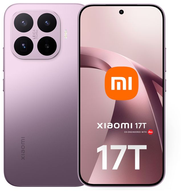 17T 