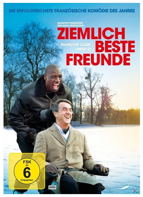 Ziemlich beste Freunde (DVD) 