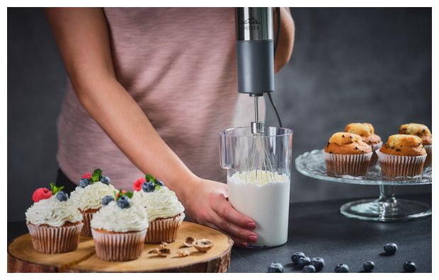 Stabmixer 1200 W  Spesso II (Edelstahl) 