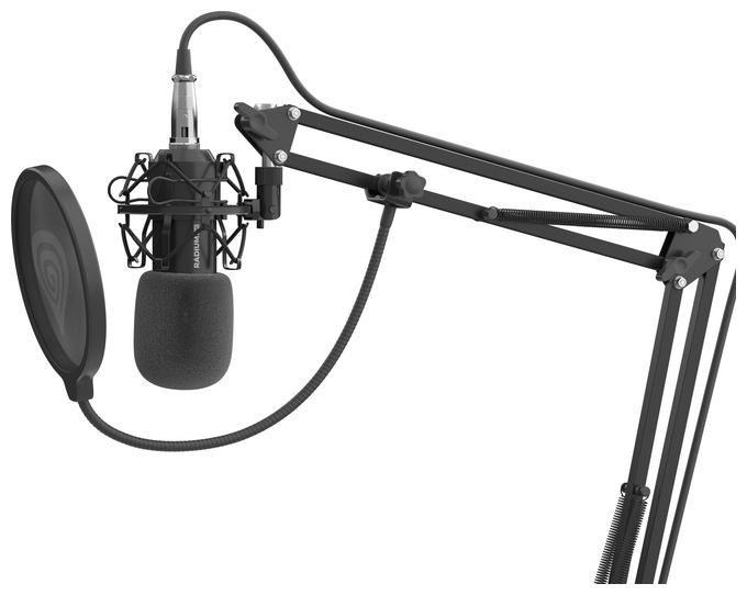 Kabelgebunden Studio-Mikrofon  Radium 300 XLR (Schwarz) 