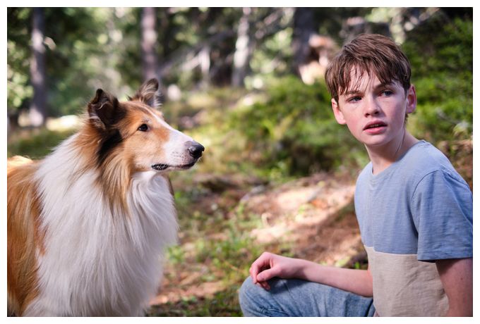 Lassie - Ein neues Abenteuer (DVD) 