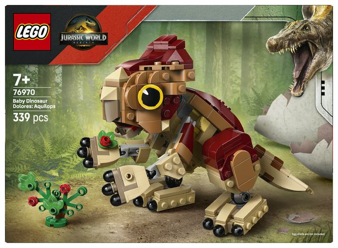 Babydinosaurier Dolores: Aquilops 