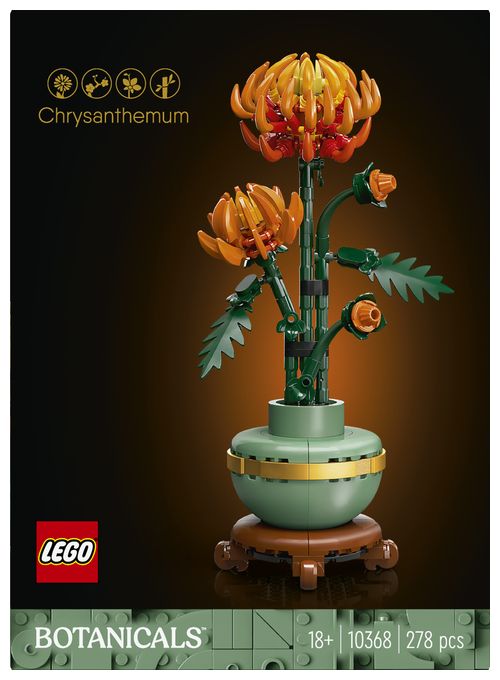 Chrysantheme 