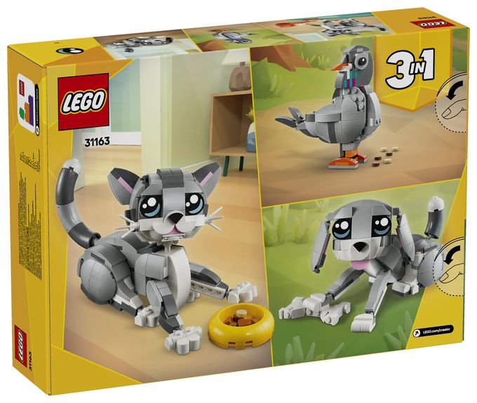 Graue Katze 