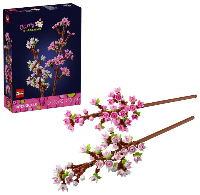 Kirschblüten 