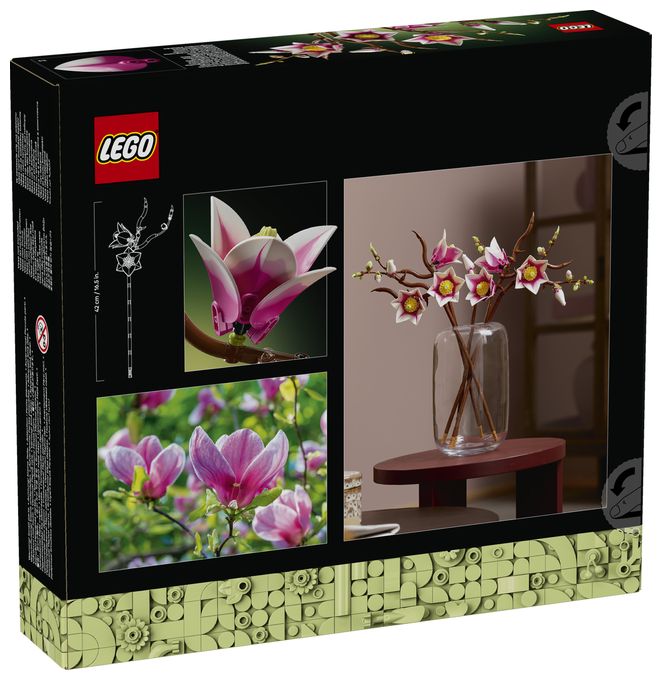 Magnolienzweige 