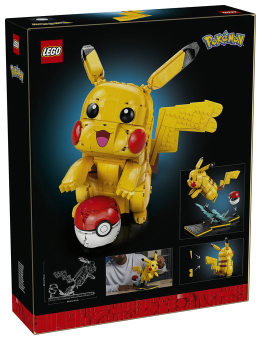 Pikachu und Pokéball 