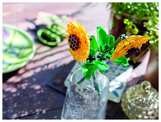 Sonnenblumen 