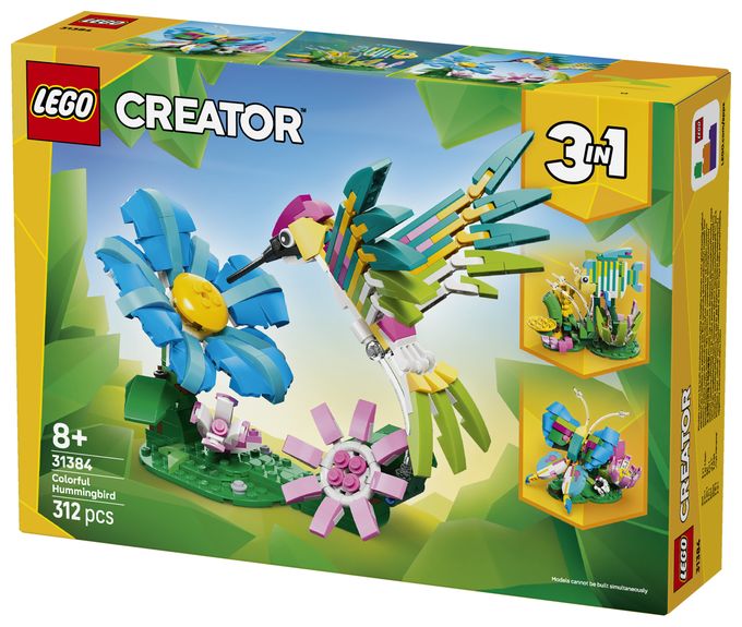 Wilde Tiere: Bunter Kolibri 