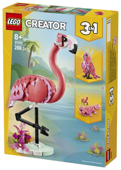 Wilde Tiere: Rosa Flamingo 