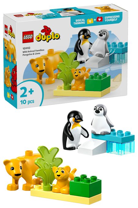 Wildtier-Familien: Pinguine und Löwen 