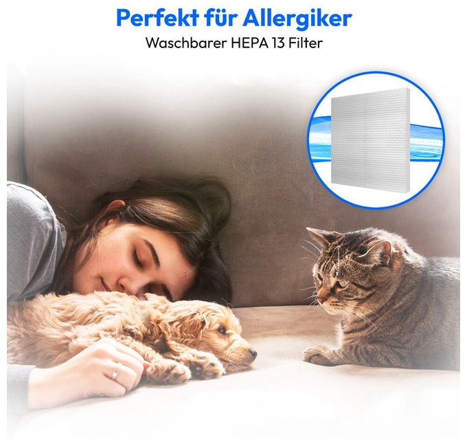 Bodenstaubsauger Beutellos 800 W HEPA (Transparent, Schwarz, Blau) E2001 MD12078 