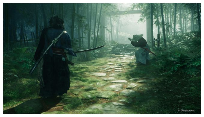 Rise of the Ronin (PlayStation 5) 