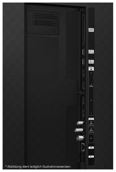 Fernseher GMR65R95HATXZG 